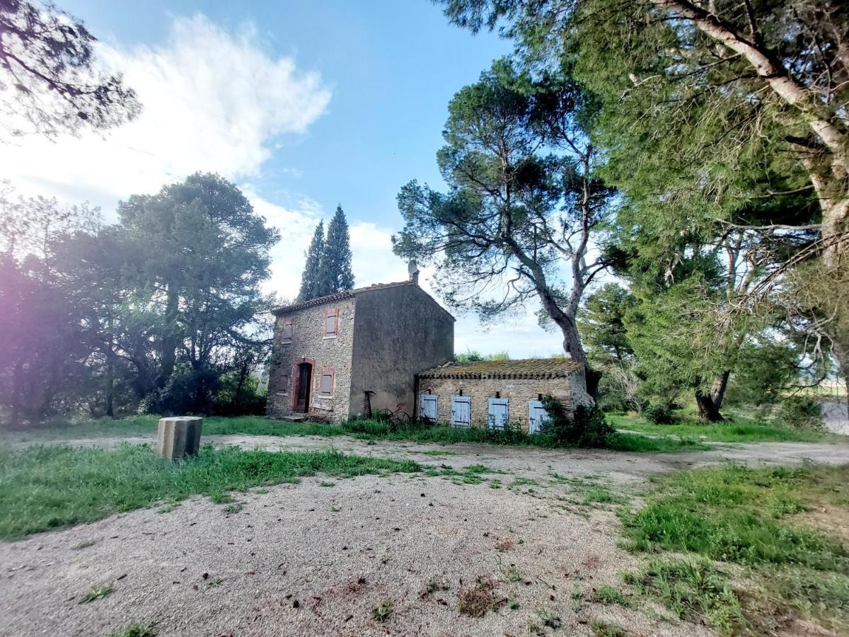 Mazet Du Chateau Joyeux De Violet Pépieux Eksteriør billede