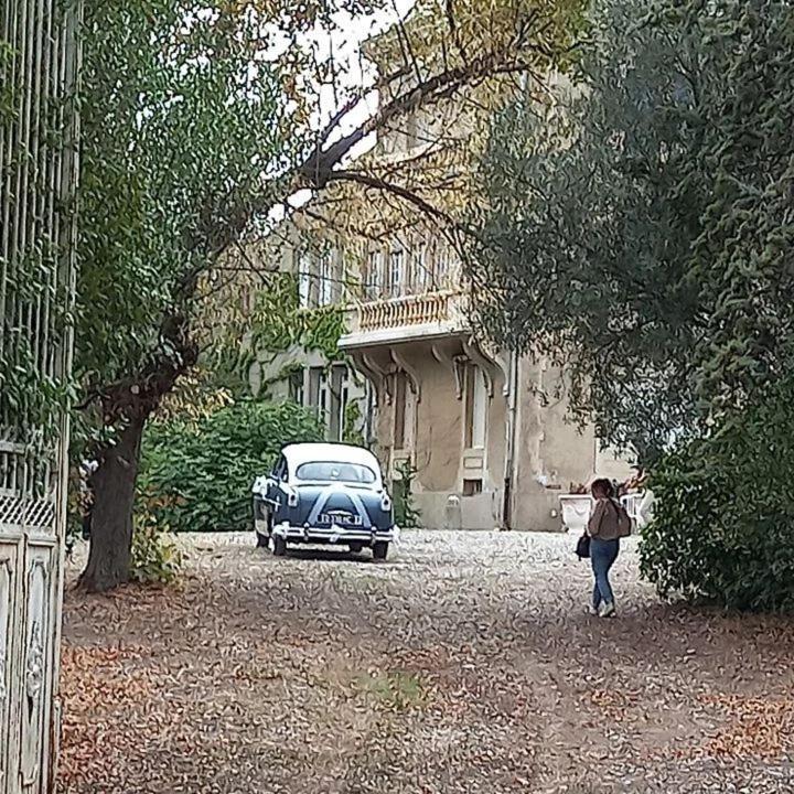 Mazet Du Chateau Joyeux De Violet Pépieux Eksteriør billede